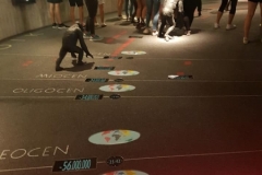 69327388_681780272339507_279138497321762816_n